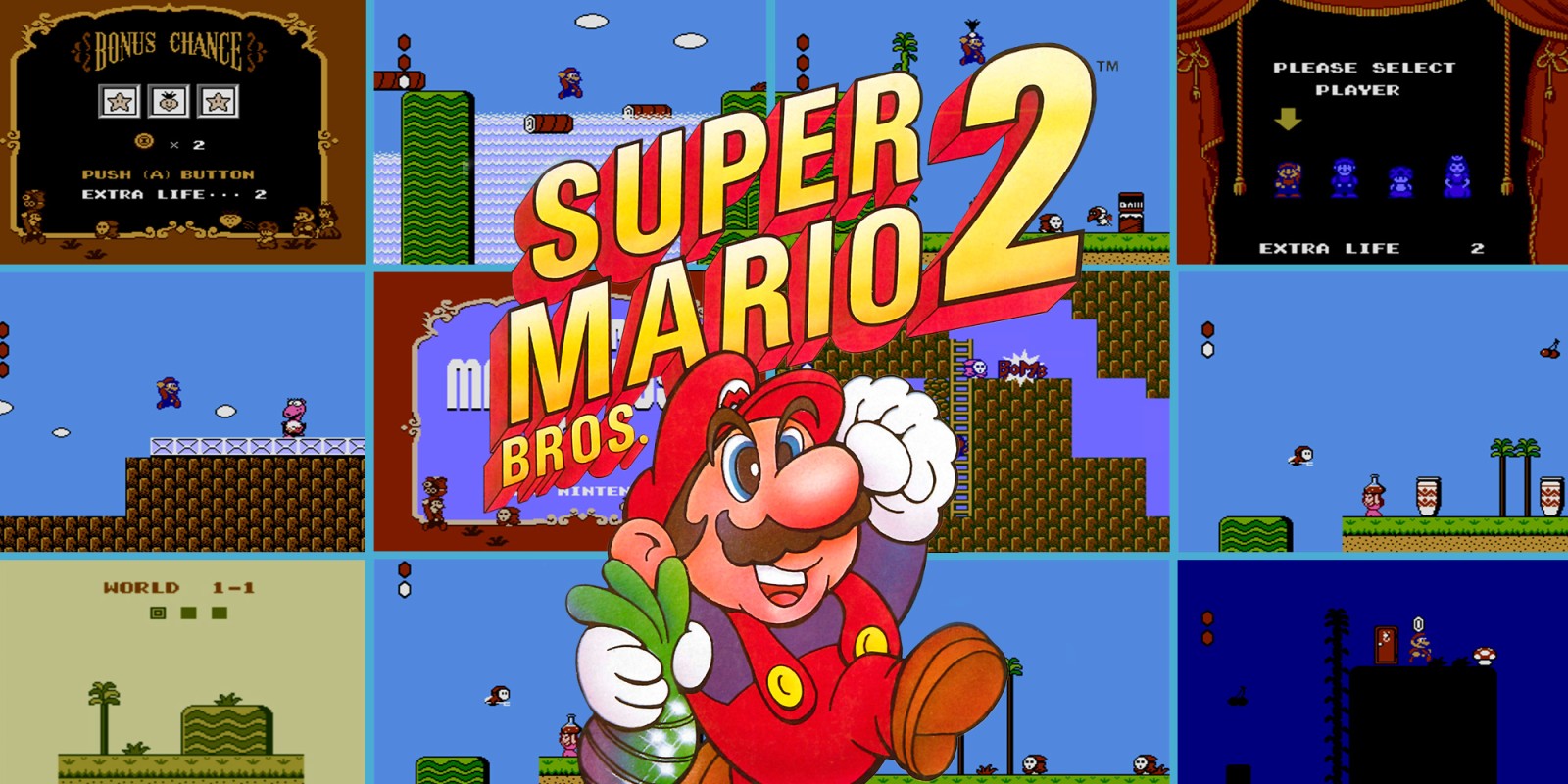 Super Mario Bros. 2 (USA)